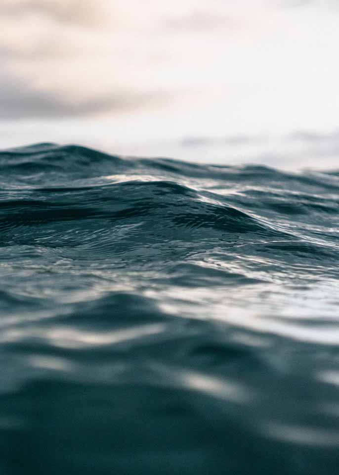 AVANTELIER Selects Ethical Goods For You : 5AM