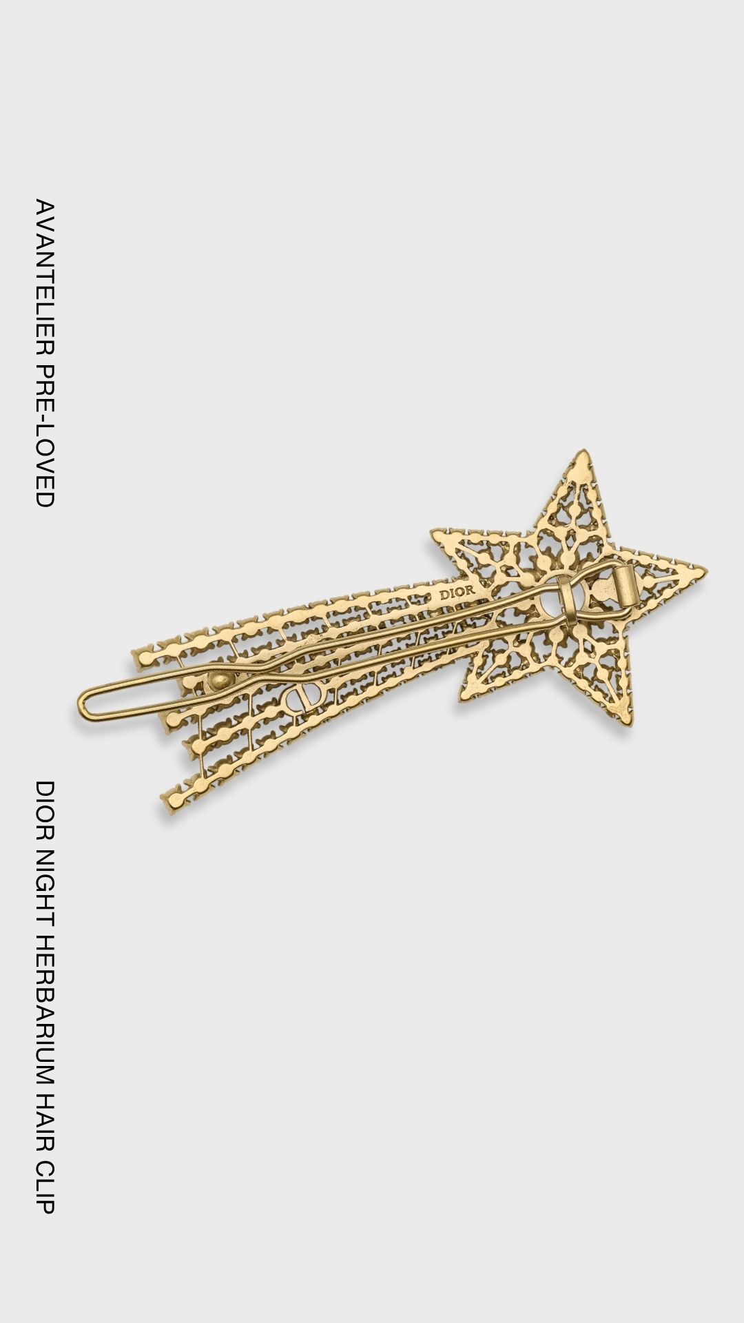 Dior Night Herbarium Hair Clip