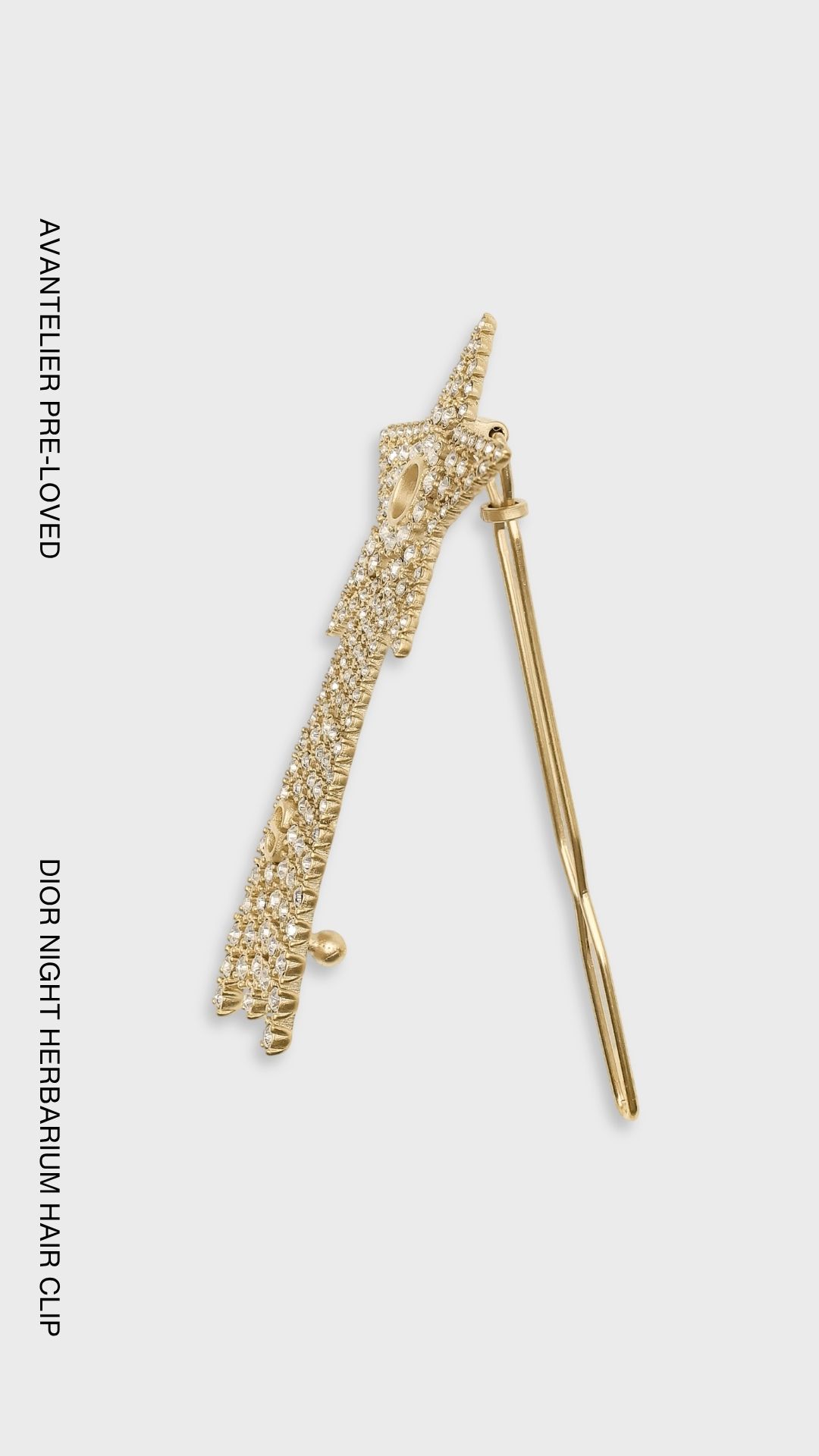 Dior Night Herbarium Hair Clip